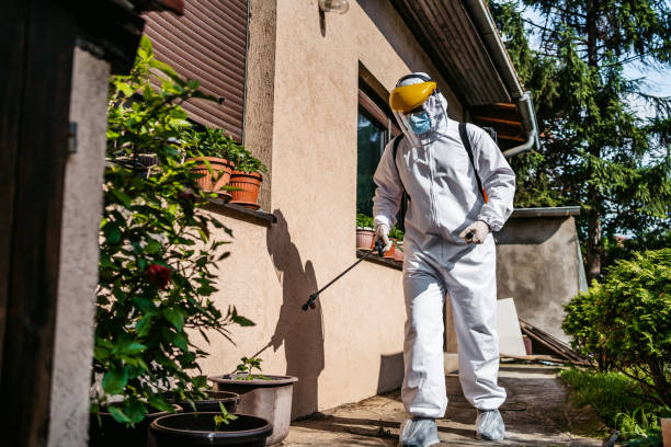 Best Best Pest Control Companies  in Carthage, MS