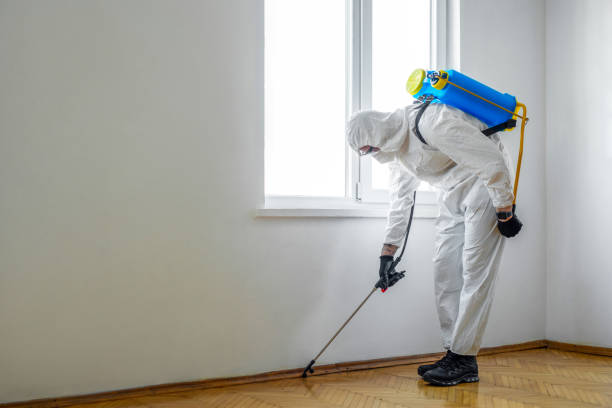 Best Pest Removal Services  in Carthage, MS